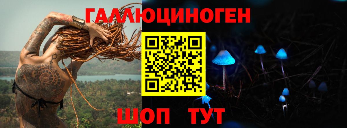 как найти закладки  Галлюциногенные грибы GOLDEN TEACHER  Вход с VPN  Железногорск 